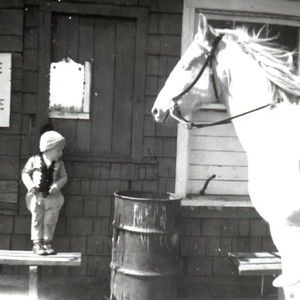 Meet your Posher, Guy